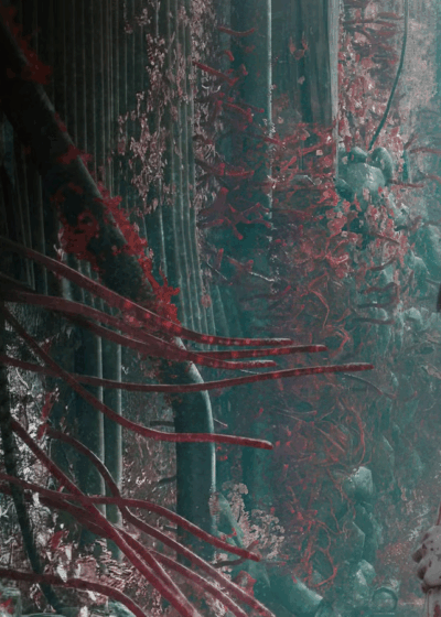 Silent Hill F Review